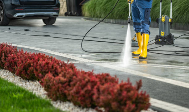 Best Fence Cleaning  in Zumbrota, MN